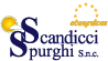 logo-scandicci-spurghi-mobile